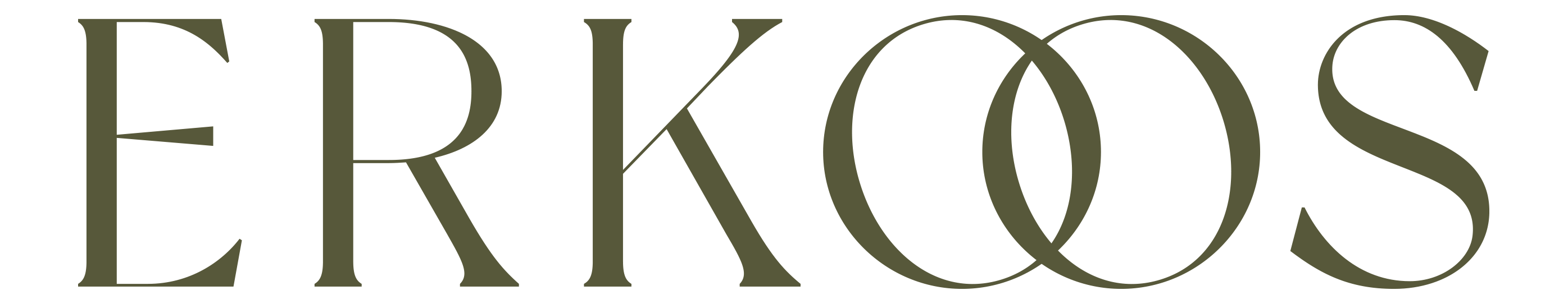 Erkoos logo